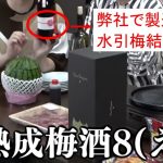 梅酒について書いた記事がプチバズる｜水引梅結びの包装資材