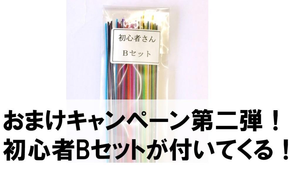 人気の初心者Bセットのキャンペーン