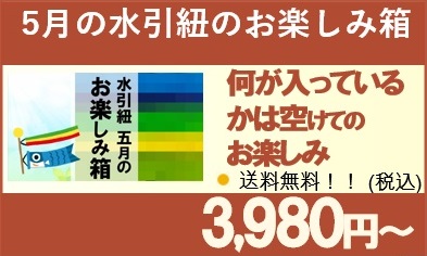 水引紐松竹梅バナー　
5月のお楽しみ箱