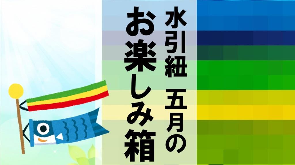 水引紐5月のお楽しみ箱を販売開始｜製造キットも付いてます