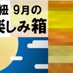 水引紐のお楽しみ箱　9月分　を発売開始｜おまけも有り〼