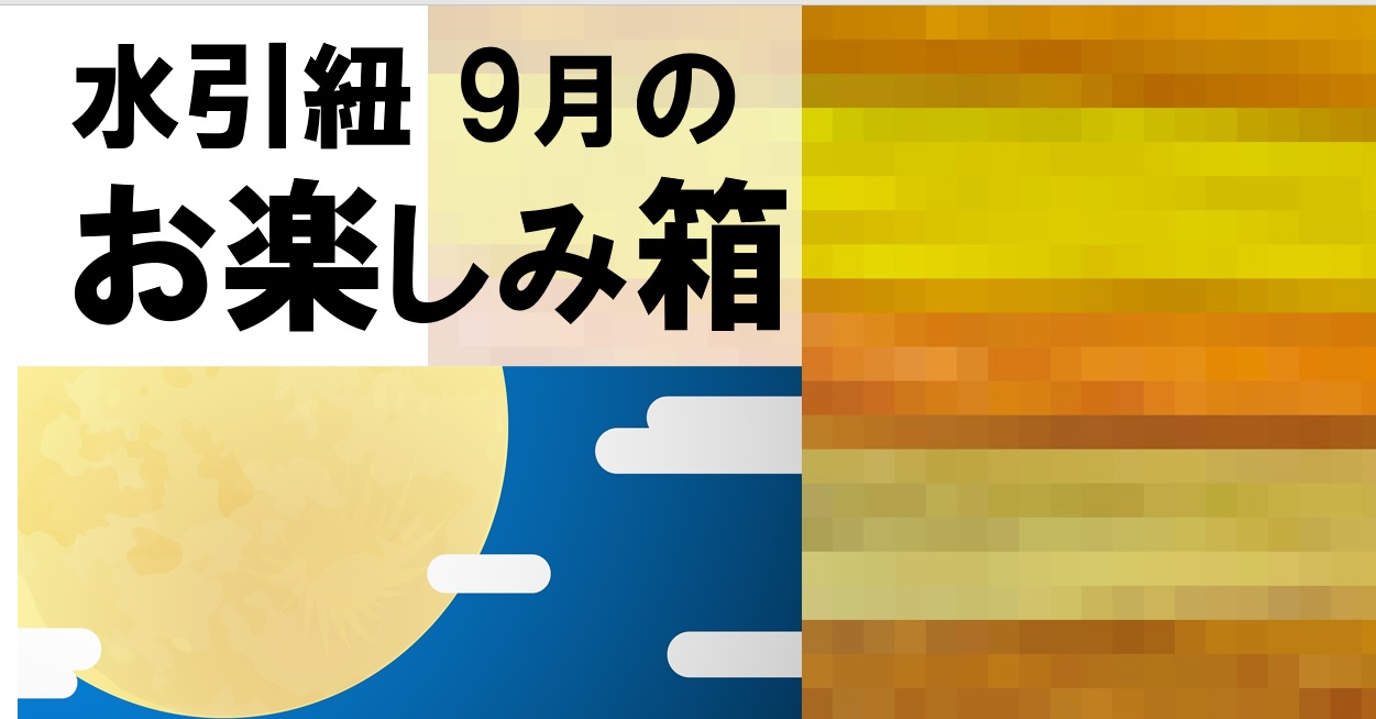 水引紐のお楽しみ箱　9月分　を発売開始｜おまけも有り〼