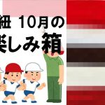 水引のお楽しみ箱10月分のイメージバナー
