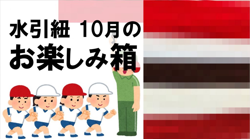 水引お楽しみ箱10月分新発売｜おまけ企画も同時受付