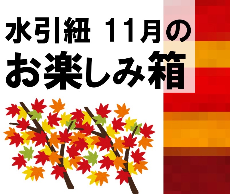 水引紐のお楽しみ箱の11月のイメージ画像