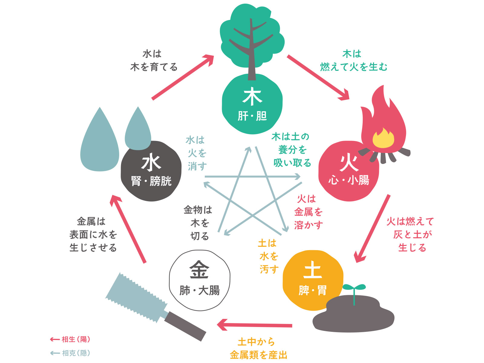 水引の本数の意味｜飾り結びを使ったプレゼント用和風ラッピング